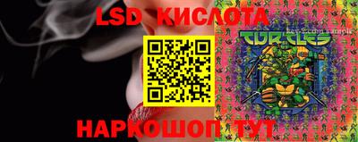 гидропоника Славгород