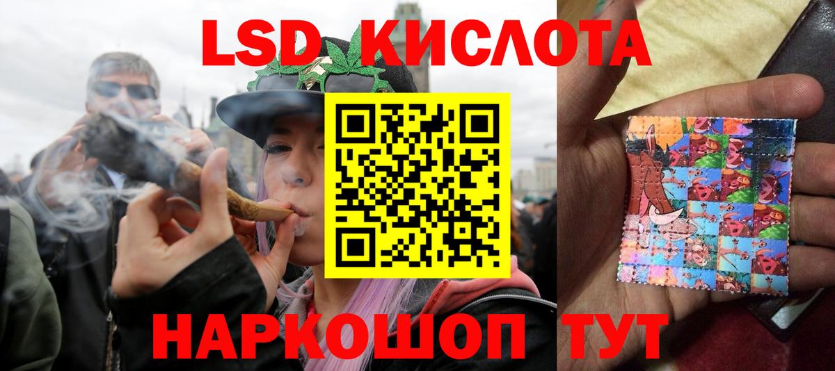 Лсд 25 экстази ecstasy  Вход с VPN  Новозыбков  блэк спрут как войти  ЛСД экстази ecstasy 