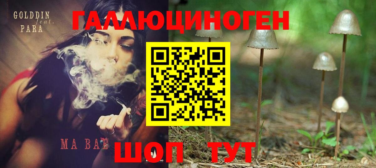 Псилоцибиновые грибы MAGIC MUSHROOMS  Галлюциногенные грибы прущие грибы  Новозыбков  Вход с VPN 